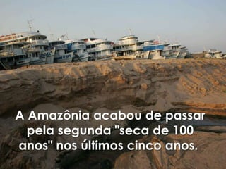 A Amazônia acabou de passar
  pela segunda "seca de 100
anos" nos últimos cinco anos.
              -
 
