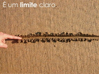 É um limite claro
 