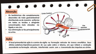 • Os barbitúricos são completamente
absorvidos do trato gastrointestinal
distribuindo-se de maneira uniforme
em todos os tecidos e atingindo
concentrações mais elevadas no
fígado e nos rins.
• Sua eliminação se faz principalmente
na urina.
• O local primordial de ação é o centro da vigília na Formação reticular do tronco encefálico. Seus
efeitos sedativos-hipnóticos parecem de sua ação sobre o tálamo, em que inibem a condução
ascendente na formação reticular, interferindo assim com a transmissão dos impulsos ao córtex.
Absorção
Ação
 