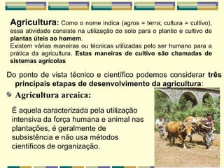 Agricultura: Como o nome indica (agros = terra; cultura = cultivo),
 essa atividade consiste na utilização do solo para o plantio e cultivo de
 plantas úteis ao homem.
 Existem várias maneiras ou técnicas utilizadas pelo ser humano para a
 prática da agricultura. Estas maneiras de cultivo são chamadas de
 sistemas agrícolas

Do ponto de vista técnico e científico podemos considerar três
  principais etapas de desenvolvimento da agricultura:
  Agricultura arcaica:
 É aquela caracterizada pela utilização
 intensiva da força humana e animal nas
 plantações, é geralmente de
 subsistência e não usa métodos
 científicos de organização.
 