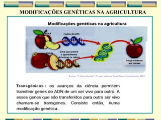 MODIFICAÇÕES GENÉTICAS NA AGRICULTURA




              Fonte: “A Descoberta”, 8º ano, editora Santillana Constância, 2007.
 
