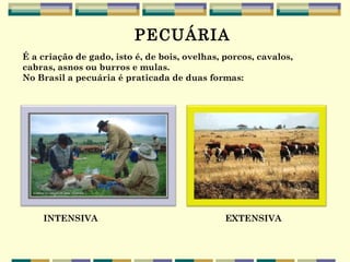 PECUÁRIA
É a criação de gado, isto é, de bois, ovelhas, porcos, cavalos,
cabras, asnos ou burros e mulas.
No Brasil a pecuária é praticada de duas formas:




    INTENSIVA                                  EXTENSIVA
 