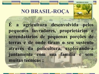 NO BRASIL-ROÇA

É a agricultura desenvolvida pelos
pequenos lavradores, proprietários e
arrendatários de pequenas porções de
terras e de onde tiram o seu sustento
através da policultura, explorando-a
juntamente com sua família e sem
muitas técnicas ;
 