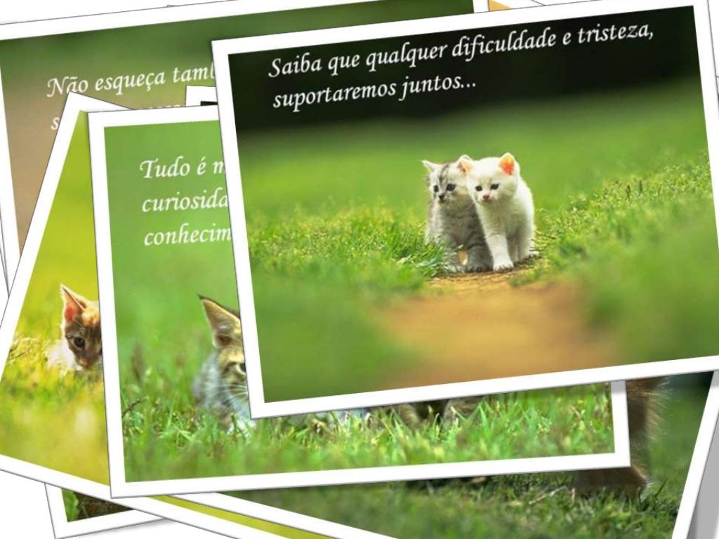 Feliz Metade do Ano! Feliz Metade do Ano!