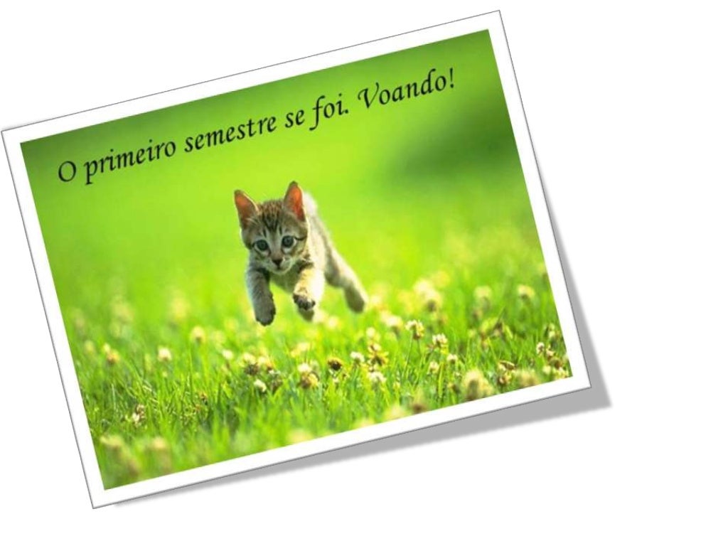 Feliz Metade do Ano! Feliz Metade do Ano!