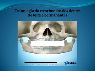 Cronologia do crescimento dos dentes
       de leite e permanentes
 