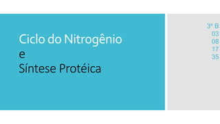 Ciclo do Nitrogênio 
e 
Síntese Protéica 
3º B 
03 
08 
17 
35 
 