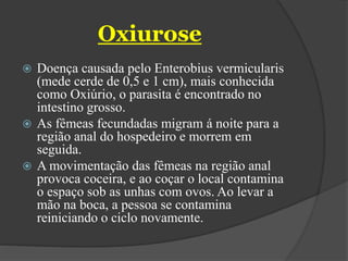 Oxiurose
 Doença causada pelo Enterobius vermicularis
(mede cerde de 0,5 e 1 cm), mais conhecida
como Oxiúrio, o parasita é encontrado no
intestino grosso.
 As fêmeas fecundadas migram á noite para a
região anal do hospedeiro e morrem em
seguida.
 A movimentação das fêmeas na região anal
provoca coceira, e ao coçar o local contamina
o espaço sob as unhas com ovos. Ao levar a
mão na boca, a pessoa se contamina
reiniciando o ciclo novamente.
 