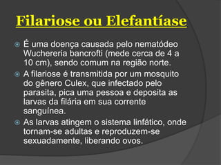 Filariose ou Elefantíase
 É uma doença causada pelo nematódeo
Wuchereria bancrofti (mede cerca de 4 a
10 cm), sendo comum na região norte.
 A filariose é transmitida por um mosquito
do gênero Culex, que infectado pelo
parasita, pica uma pessoa e deposita as
larvas da filária em sua corrente
sanguínea.
 As larvas atingem o sistema linfático, onde
tornam-se adultas e reproduzem-se
sexuadamente, liberando ovos.
 