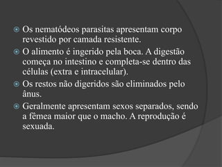  Os nematódeos parasitas apresentam corpo
revestido por camada resistente.
 O alimento é ingerido pela boca. A digestão
começa no intestino e completa-se dentro das
células (extra e intracelular).
 Os restos não digeridos são eliminados pelo
ânus.
 Geralmente apresentam sexos separados, sendo
a fêmea maior que o macho. A reprodução é
sexuada.
 