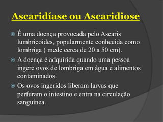 Ascaridíase ou Ascaridiose
 É uma doença provocada pelo Ascaris
lumbricoides, popularmente conhecida como
lombriga ( mede cerca de 20 a 50 cm).
 A doença é adquirida quando uma pessoa
ingere ovos de lombriga em água e alimentos
contaminados.
 Os ovos ingeridos liberam larvas que
perfuram o intestino e entra na circulação
sanguínea.
 