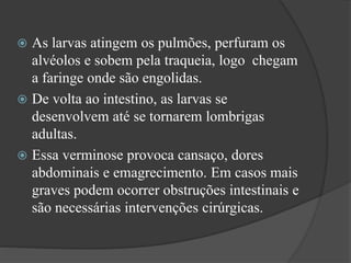  As larvas atingem os pulmões, perfuram os
alvéolos e sobem pela traqueia, logo chegam
a faringe onde são engolidas.
 De volta ao intestino, as larvas se
desenvolvem até se tornarem lombrigas
adultas.
 Essa verminose provoca cansaço, dores
abdominais e emagrecimento. Em casos mais
graves podem ocorrer obstruções intestinais e
são necessárias intervenções cirúrgicas.
 