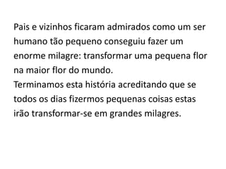 Pais e vizinhos ficaram admirados como um serhumano tão pequeno conseguiu fazer umenorme milagre: transformar uma pequena florna maior flor do mundo.Terminamos esta história acreditando que setodos os dias fizermos pequenas coisas estasirão transformar-se em grandes milagres.