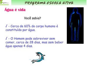 √  - Cerca de 60% do corpo humano é constituído por água. √  - O Homem pode sobreviver sem comer, cerca de 28 dias, mas sem beber água apenas 4 dias. PROGRAMA ESCOLA ATIVA Água é vida Você sabia? 