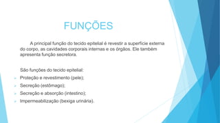 FUNÇÕES
A principal função do tecido epitelial é revestir a superfície externa
do corpo, as cavidades corporais internas e os órgãos. Ele também
apresenta função secretora.
São funções do tecido epitelial:
 Proteção e revestimento (pele);
 Secreção (estômago);
 Secreção e absorção (intestino);
 Impermeabilização (bexiga urinária).
 