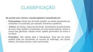 CLASSIFICAÇÃO
De acordo com a forma, o tecido epitelial é classificado em:
 Pavimentoso: Nesse tipo de tecido epitelial, as células apresentam-se
achatadas. É encontrado, por exemplo, formando a epiderme;
 Cúbico: As células, nesse tipo de tecido, caracterizam-se pelo formato
de cubo. Esse epitélio é encontrado em cinco locais básicos: ductos e
ácinos das glândulas, túbulos renais, epitélio germinativo do ovário e
na retina;
 Prismático: São células altas e retangulares. Esse tipo de tecido
epitelial pode ser encontrado na mucosa do estômago, nos ductos
biliares, nas tubas uterinas, entre outros locais.
 