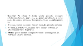  Glandular: As células do tecido epitelial glandular produzem
substâncias chamadas secreções, que podem ser utilizadas e outras
partes do corpo ou eliminadas do organismo. Essas secreções podem
ser:
I. Sucosas, quando espessas e ricas em muco, Ex. glândulas salivares
II. Serosas, quando fluidas, aquosas, claras e ricas e proteínas. Ex.
glândulas secretoras do pâncreas
III. Mistas, quando ocorrem secreções mucosas e serosas juntas. Ex.
Glândulas salivares parótidas.
 