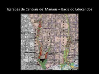 Igarapés de Centrais de Manaus – Bacia do Educandos
 