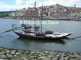 A Ribeira de Gaia 