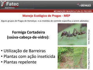 Manejo Ecológico de Pragas - MEP
Alguns grupos de Pragas de Hortaliças e as medidas de controle específica a serem adotadas:
Formiga Cortadeira
(saúva-cabeça-de-vidro):
• Utilização de Barreiras
• Plantas com ação inseticida
• Plantas repelente
Foto:MarcioAraujoFoto:MiguelMichereffFilho
 