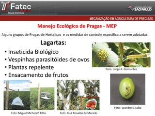 Manejo Ecológico de Pragas - MEP
Alguns grupos de Pragas de Hortaliças e as medidas de controle específica a serem adotadas:
Lagartas:
• Inseticida Biológico
• Vespinhas parasitóides de ovos
• Plantas repelente
• Ensacamento de frutos
Foto: Jorge A. Guimarães
Foto: Miguel Michereff Filho
Foto: Leandro S. Lobo
Foto: José Ronaldo de Macedo
 
