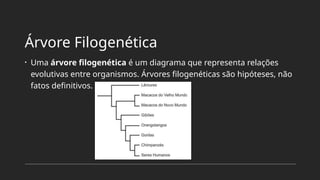 Árvore Filogenética
• Uma árvore filogenética é um diagrama que representa relações
evolutivas entre organismos. Árvores filogenéticas são hipóteses, não
fatos definitivos.
 