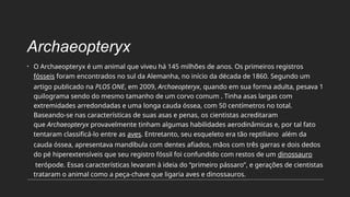 Archaeopteryx
• O Archaeopteryx é um animal que viveu há 145 milhões de anos. Os primeiros registros
fósseis foram encontrados no sul da Alemanha, no início da década de 1860. Segundo um
artigo publicado na PLOS ONE, em 2009, Archaeopteryx, quando em sua forma adulta, pesava 1
quilograma sendo do mesmo tamanho de um corvo comum . Tinha asas largas com
extremidades arredondadas e uma longa cauda óssea, com 50 centímetros no total.
Baseando-se nas características de suas asas e penas, os cientistas acreditaram
que Archaeopteryx provavelmente tinham algumas habilidades aerodinâmicas e, por tal fato
tentaram classificá-lo entre as aves. Entretanto, seu esqueleto era tão reptiliano além da
cauda óssea, apresentava mandíbula com dentes afiados, mãos com três garras e dois dedos
do pé hiperextensíveis que seu registro fóssil foi confundido com restos de um dinossauro
terópode. Essas características levaram à ideia do “primeiro pássaro”, e gerações de cientistas
trataram o animal como a peça-chave que ligaria aves e dinossauros.
 
