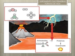 SURGIMENTO DAS PRIMEIRAS
    FORMAS DE VIDA
 