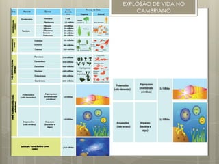 EXPLOSÃO DE VIDA NO
    CAMBRIANO
 