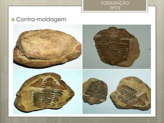 FOSSILIZAÇÃO
                        TIPOS

 Contra-moldagem
 