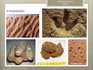 FOSSILIZAÇÃO
                  TIPOS

 Impressão
 