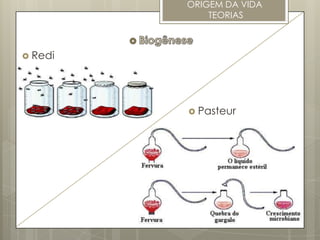 ORIGEM DA VIDA
             TEORIAS



 Redi




          Pasteur
 