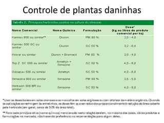 Controle de plantas daninhas
 