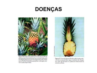 DOENÇAS
 