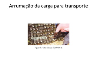Arrumação da carga para transporte
 