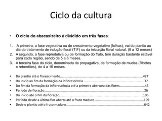 Ciclo da cultura
• O ciclo do abacaxizeiro é dividido em três fases:
1. A primeira, a fase vegetativa ou de crescimento vegetativo (folhas), vai do plantio ao
dia do tratamento de indução floral (TIF) ou da iniciação floral natural. (8 a 12 meses)
2. A segunda, a fase reprodutiva ou de formação do fruto, tem duração bastante estável
para cada região, sendo de 5 a 6 meses.
3. A terceira fase do ciclo, denominada de propagativa, de formação de mudas (filhotes
e rebentões), de 4 a 10 meses.
• Do plantio até o florescimento............................................................................................427
• Do início ao fim da formação da inflorescência....................................................................37
• Do fim da formação da inflorescência até a primeira abertura das flores............................43
• Período de floração...............................................................................................................26
• Do início até o fim da floração.............................................................................................106
• Período desde a última flor aberta até o fruto maduro.......................................................109
• Dede o plantio até o fruto maduro.......................................................................................642
 