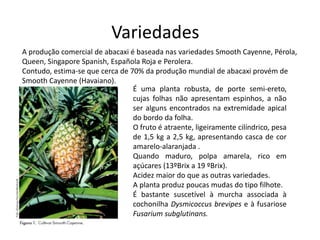 Variedades
A produção comercial de abacaxi é baseada nas variedades Smooth Cayenne, Pérola,
Queen, Singapore Spanish, Española Roja e Perolera.
Contudo, estima-se que cerca de 70% da produção mundial de abacaxi provém de
Smooth Cayenne (Havaiano).
É uma planta robusta, de porte semi-ereto,
cujas folhas não apresentam espinhos, a não
ser alguns encontrados na extremidade apical
do bordo da folha.
O fruto é atraente, ligeiramente cilíndrico, pesa
de 1,5 kg a 2,5 kg, apresentando casca de cor
amarelo-alaranjada .
Quando maduro, polpa amarela, rico em
açúcares (13ºBrix a 19 ºBrix).
Acidez maior do que as outras variedades.
A planta produz poucas mudas do tipo filhote.
É bastante suscetível à murcha associada à
cochonilha Dysmicoccus brevipes e à fusariose
Fusarium subglutinans.
 