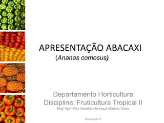 APRESENTAÇÃO ABACAXI
(Ananas comosus)
Departamento Horticultura
Disciplina: Fruticultura Tropical II
Engº Agrº MSc Geraldo Henrique Martins Vieira
Botucatu/2014
 