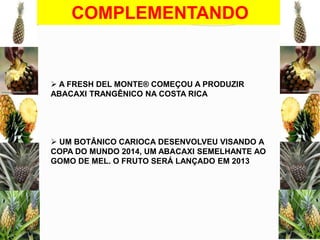 COMPLEMENTANDO

 A FRESH DEL MONTE® COMEÇOU A PRODUZIR
ABACAXI TRANGÊNICO NA COSTA RICA

 UM BOTÂNICO CARIOCA DESENVOLVEU VISANDO A
COPA DO MUNDO 2014, UM ABACAXI SEMELHANTE AO
GOMO DE MEL. O FRUTO SERÁ LANÇADO EM 2013

 