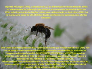 Segundo McGregor (1976), a produção de 2/3 da alimentação humana depende, direta
ou indiretamente da polinização por insetos e, de acordo com estimativas feitas em
1998, pela Organização das Nações Unidas para a Alimentação e a Agricultura (FAO), há
no mundo uma perda de U$54 bilhões devido a deficiência na polinização das plantas
cultivadas.

Com todos estes fatos podemos dizer sem vias de duvida que o maior trabalho das (ASF) não
é o de produzir mel ou pólen mais sim o da polinização, esse trabalho foi avaliado e se
chegou ao valor anual mundial de 33 TRILHOES (COSTANZA et al 1987 ) em serviços
prestados, este trabalho é feito de graça e a única coisa que o homem da em troca é a
destruição de seu habitat e o seu envenenamento sistêmico.
Há uma celebre frase atribuída Einstein “Se as Abelhas desaparecerem da face da terra, ao
homem apenas resta quatro anos de vida. Não há abelhas, não há polinização, não há
plantas, não há animais, não há Homem”

 