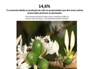 14,6%
É o aumento obtido na produção de café em propriedades que têm áreas nativas
preservadas próximas às plantações.
Fonte Pesquisa de Paulo de Marco Júnior, realizada em 2002, em
áreas de cultivo de Viçosa, a 225 quilômetros de Belo Horizonte.

 