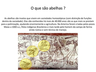 O que são abelhas ?
As abelhas são insetos que vivem em sociedades homeotípicas (com distinção de funções
dentro da sociedade). Elas são conhecidas há mais de 40.000 anos são as que mais se prestam
para a polinização, ajudando enormemente a agricultura. Na America foram criadas pelos povos
Maias a 1000 a.c, Pelos indígenas Brasileiros e mais tarde pelo homem do campo de forma
ainda rústica e sem técnica de manejo.

 