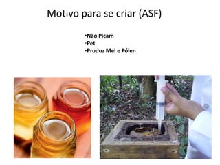 Motivo para se criar (ASF)
•Não Picam
•Pet
•Produz Mel e Pólen

 