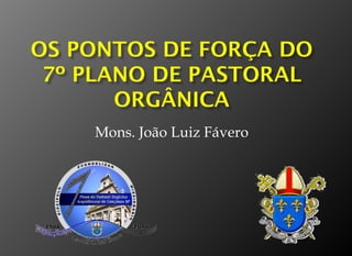 Mons. João Luiz Fávero
 