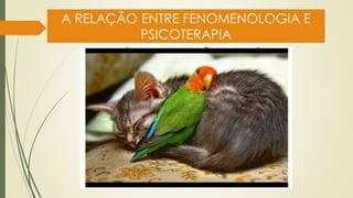 A RELAÇÃO ENTRE FENOMENOLOGIA E
PSICOTERAPIA
 
