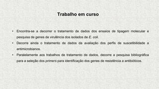 Trabalho em curso
• Encontra-se a decorrer o tratamento de dados dos ensaios de tipagem molecular e
pesquisa de genes de virulência dos isolados de E. coli.
• Decorre ainda o tratamento de dados da avaliação dos perfis de suscetibilidade a
antimicrobianos.
• Paralelamente aos trabalhos de tratamento de dados, decorre a pesquisa bibliográfica
para a seleção dos primers para identificação dos genes de resistência a antibióticos.
 