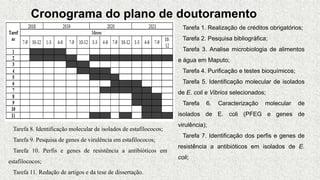 Cronograma do plano de doutoramento
Tarefa 1. Realização de créditos obrigatórios;
Tarefa 2. Pesquisa bibliográfica;
Tarefa 3. Analise microbiologia de alimentos
e água em Maputo;
Tarefa 4. Purificação e testes bioquímicos;
Tarefa 5. Identificação molecular de isolados
de E. coli e Vibrios selecionados;
Tarefa 6. Caracterização molecular de
isolados de E. coli (PFEG e genes de
virulência);
Tarefa 7. Identificação dos perfis e genes de
resistência a antibióticos em isolados de E.
coli;
Tarefa 8. Identificação molecular de isolados de estafilococos;
Tarefa 9. Pesquisa de genes de virulência em estafilococos;
Tarefa 10. Perfis e genes de resistência a antibióticos em
estafilococos;
Tarefa 11. Redação de artigos e da tese de dissertação.
 