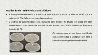 Avaliação da resistência a antibióticos
• A avaliação de resistência a antibióticos será aplicada a todos os isolados de E. coli e a
isolados de Staphylococcus coagulase positivos.
• O padrão de suscetibilidade será realizada pelo método de difusão em disco em ágar
Mueller-Hinton com discos de antibióticos, de acordo com Clinical Laboratory Standards
Institute (CLSI).
• Os isolados que apresentarem resistência
serão submetidos a Multiplex PCR para a
identificação dos genes de resistência.
 