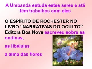 A Umbanda estuda estes seres e até têm trabalhos com elesO ESPÍRITO DE ROCHESTER NO LIVRO “NARRATIVAS DO OCULTO” Editora Boa Nova escreveu sobre as ondinas,as libélulas a alma das flores