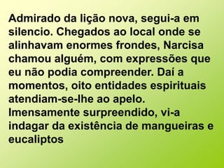 Admirado da lição nova, segui-a em silencio. Chegados ao local onde se alinhavam enormes frondes, Narcisa chamou alguém, com expressões que eu não podia compreender. Daí a momentos, oito entidades espirituais atendiam-se-lhe ao apelo. Imensamente surpreendido, vi-a indagar da existência de mangueiras e eucaliptos